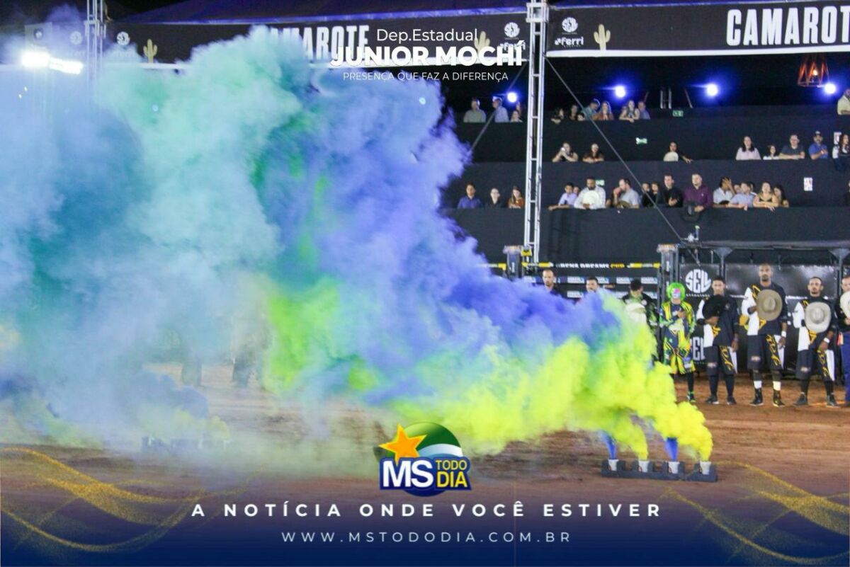 Imagem da Galeria